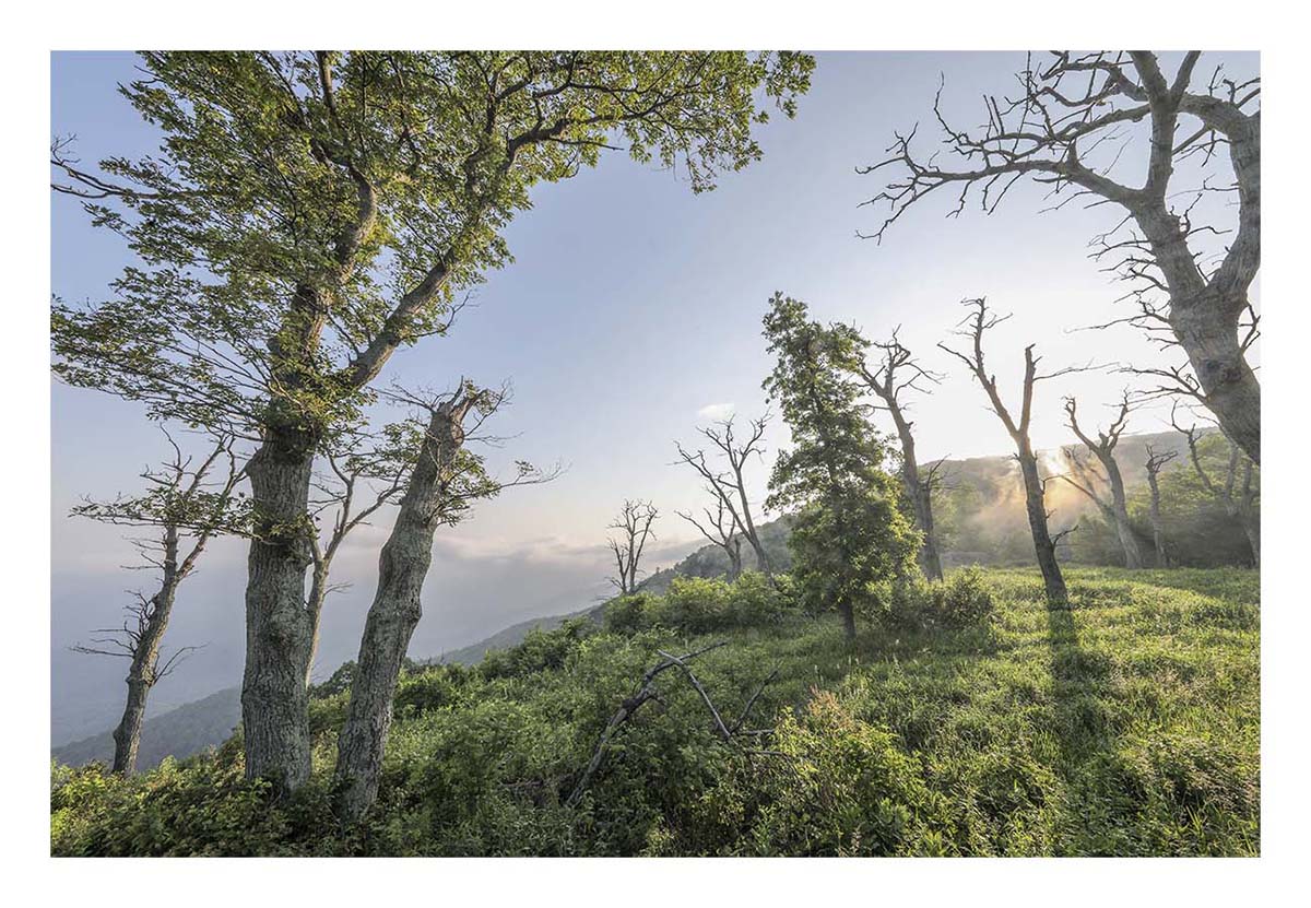 Shenandoah NP